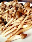 嶺南菌王當(dāng)季，食客們?yōu)橹偪瘛局貞c火鍋底料批發(fā)商】