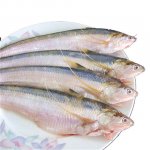 長江刀魚禁捕兩個月后，竟有飯店公然出售相關(guān)菜品