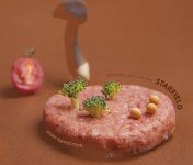 未來持續(xù)發(fā)展的方向：挖掘植物肉作為菜品的多樣性、借助成熟產(chǎn)品深度走進(jìn)中式餐飲【重慶火鍋底料批發(fā)在哪里】
