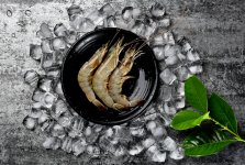 多地市場嚴(yán)查厄瓜多爾白蝦！部分地區(qū)“一刀切”，要求全部下架【重慶火鍋底料在哪里買最好】