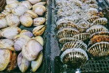 市值縮水近90%后，“中國水產(chǎn)第一股”指望預(yù)制菜“救命”？